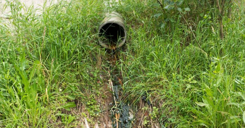 Sewage discharges.